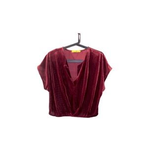 Velvet Burgundy Holiday Top